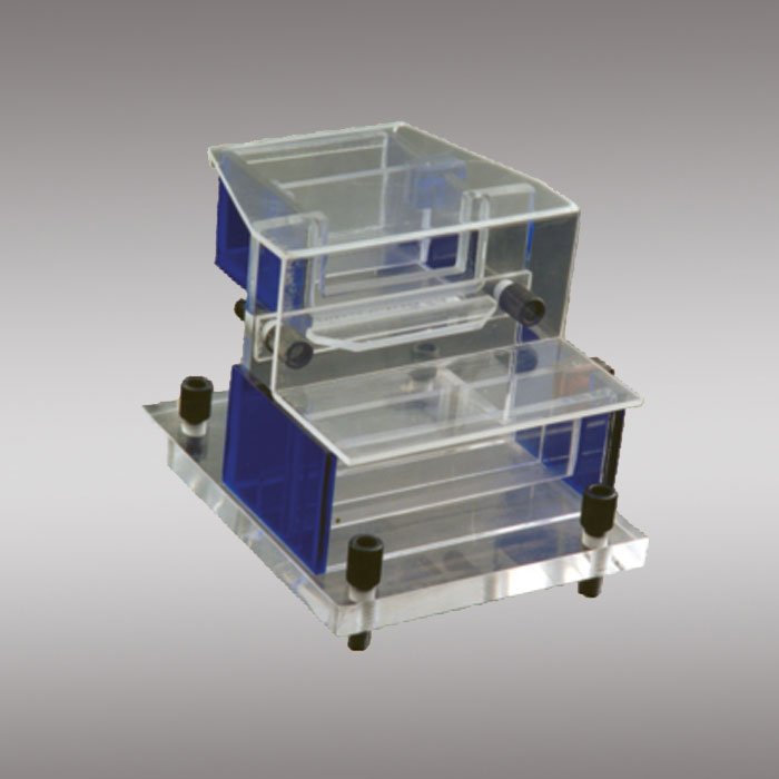 Vertical Slab Gel Electrophoresis – Student Model