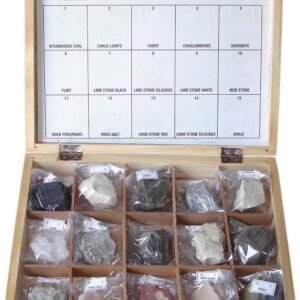 SEDIMENTARY ROCKS COLLECTION (SET OF 15)