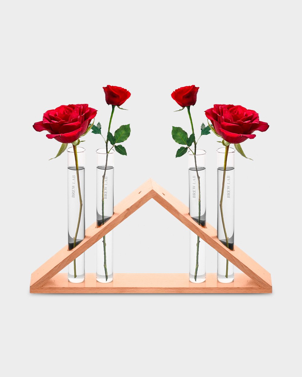 Triangle Plant Holder (4 Holes)