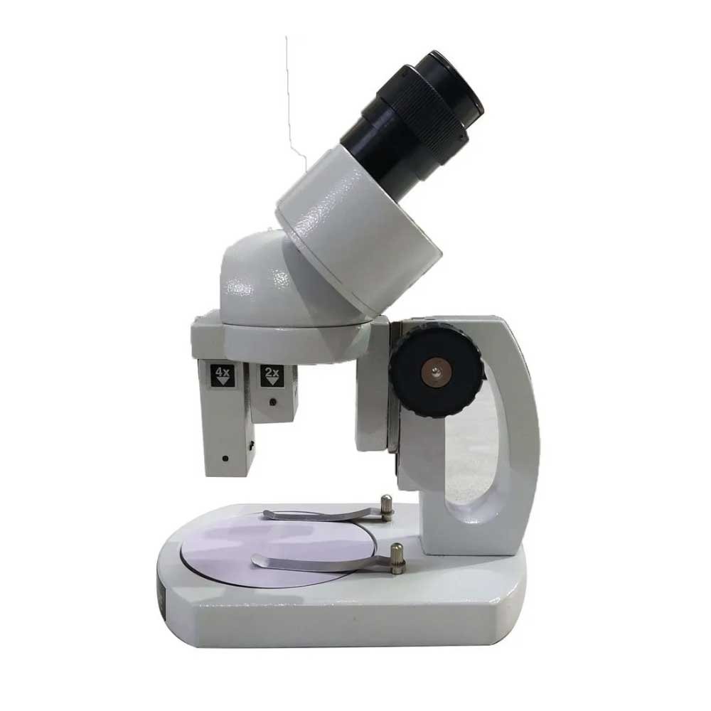 Stereo Microscope, Inclined