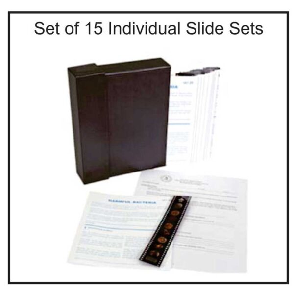 Microslides - Image 2