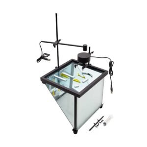 Ripple Tank